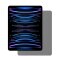 1x 9H Panzerglas für iPad Air 10.9 2019 2020 2022 ANTI-SPY Privacy Displayschutz Panzerfolie Schutzfolie Hartglas Schutzglas Displayglas Tempered Glasfolie Sicherheitsglas Echtglas